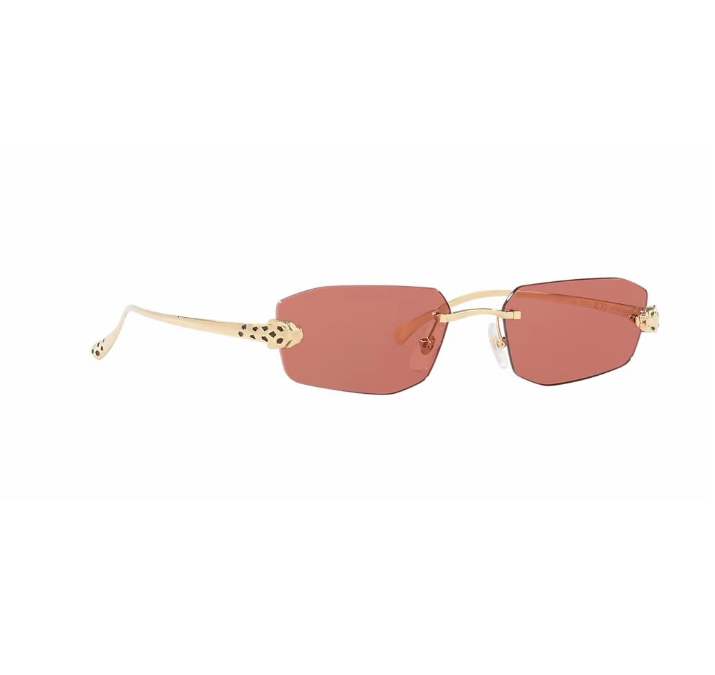 CARTIER CT0474S