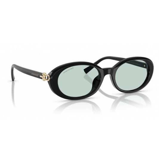 TIFFANY & CO. TF4242D