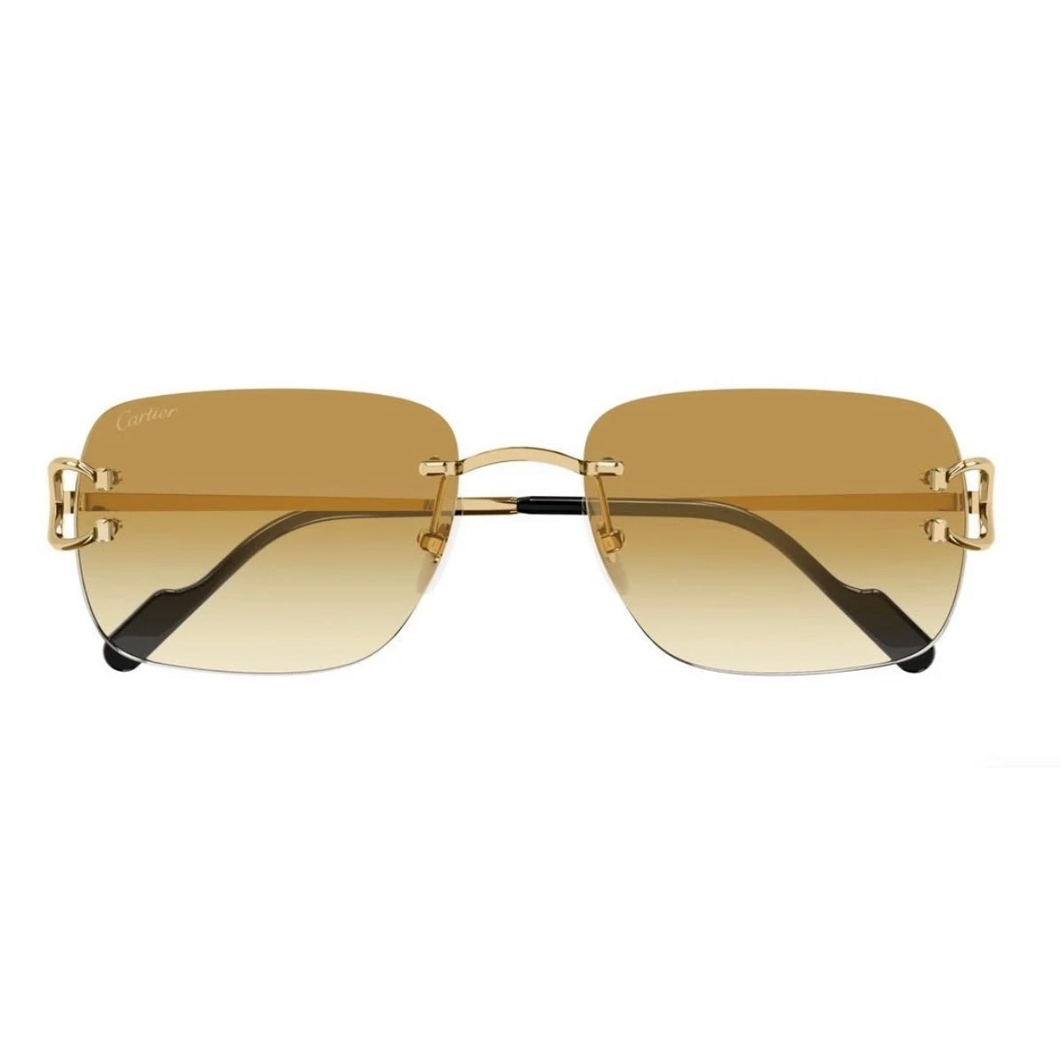 CARTIER CT0330S