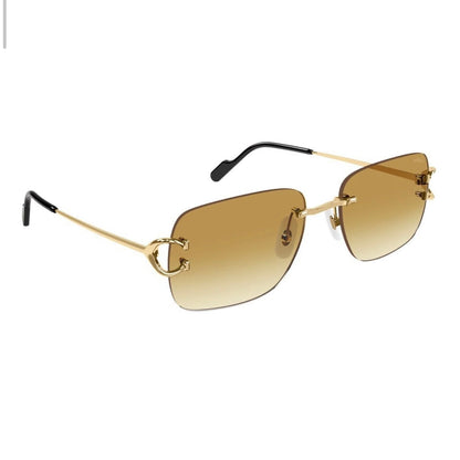 CARTIER CT0330S